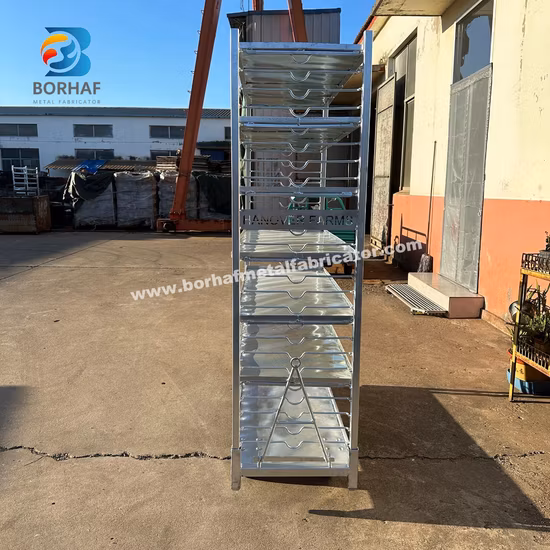China′s Leading Supplier of Danish Trolleys with Plywood Shelf, Ideal for Garden Centers