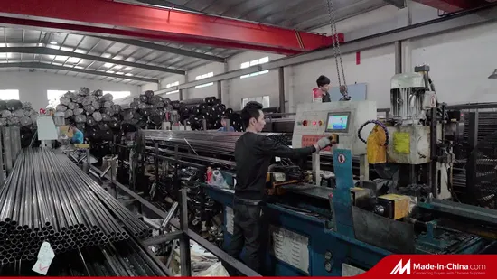 Freistehendes, grün beschichtetes, robustes, langlebiges Stahldrahtregal